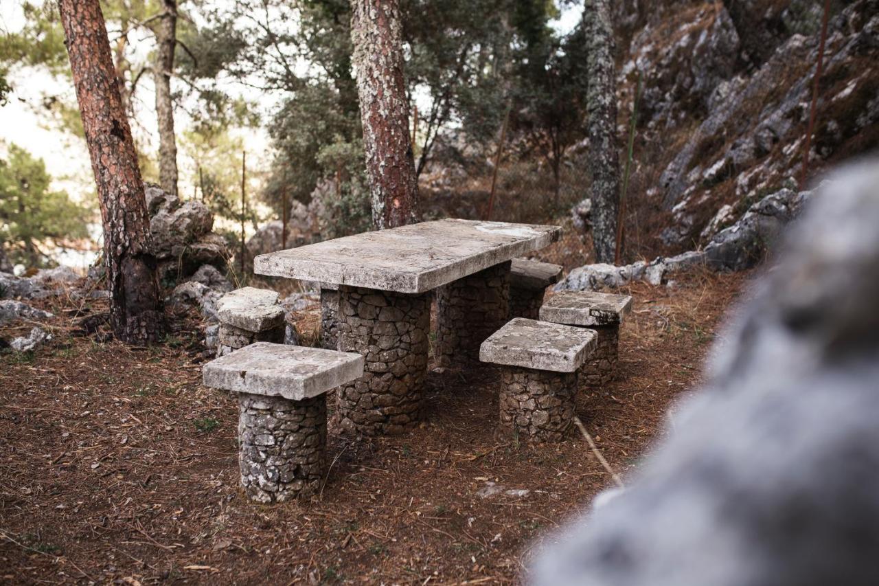Camping Tajorodillo Grazalema Exteriér fotografie
