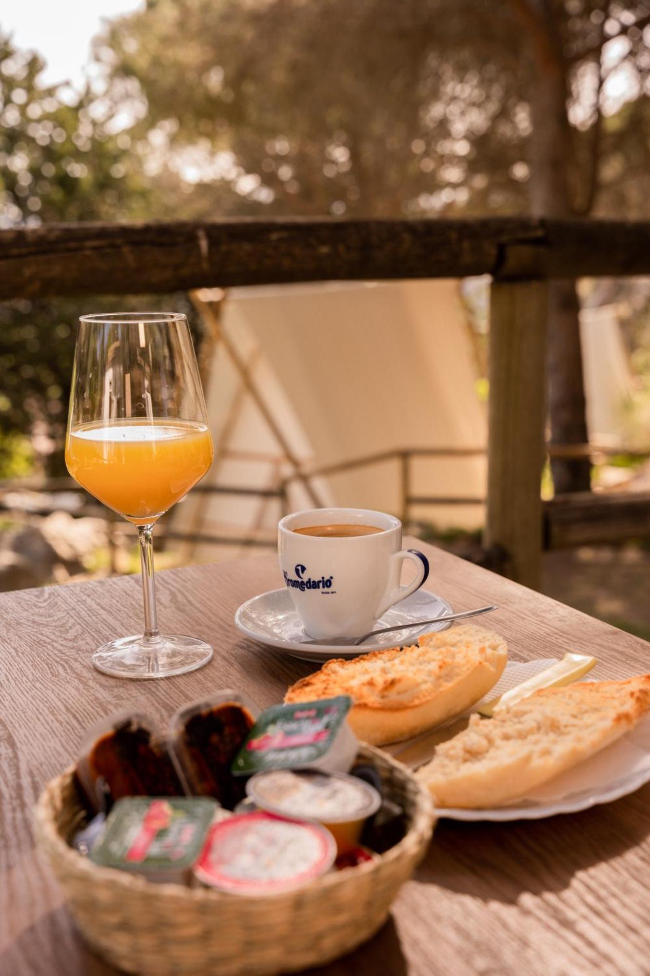 Camping Tajorodillo Grazalema Exteriér fotografie